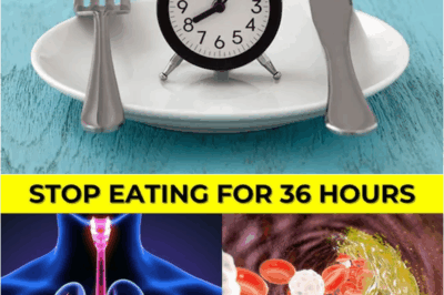 Doctors Hide It From You! Here’s What Happens When You Stop Eating For 36 Hours – S