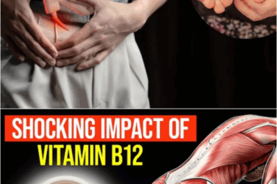 When You Start Taking Vitamin B12 Every Day, Here’s What Happens to Your Body – S