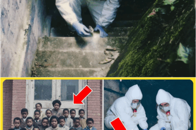 An Entire Kindergarten Vanished in 1987 — 27 Years Later, A Sealed Room Was Found Beneath the School – S