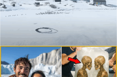 Tourist Couple Vanished in Glacier National Park — 7 Years Later, Bodies Found in the Ice, Handcuffed – S
