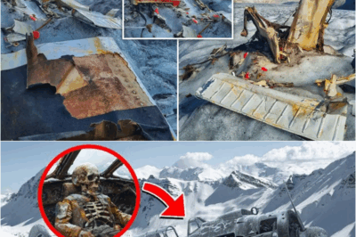 This Pilot Was Found Frozen Inside a Glacier Since 1942! (𝗩𝗜𝗗𝗘𝗢)👀 – S