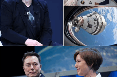 NASA Scientists Challenge Elon Musk to a Brain Test—His Score Leaves Them Stunned! – s