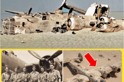 A WWII Bomber Vanished in 1943 — 15 Years Later It Was Found Perfectly Preserved in the Desert – S
