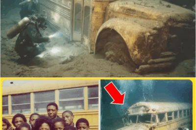 The School Bus That Vanished in 1985 — And the Chilling Underwater Discovery 12 Years Later – S