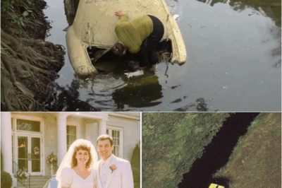 Couple Vanished After Their Wedding in 1985 — 12 Years Later a Satellite Image Reveals This… – S