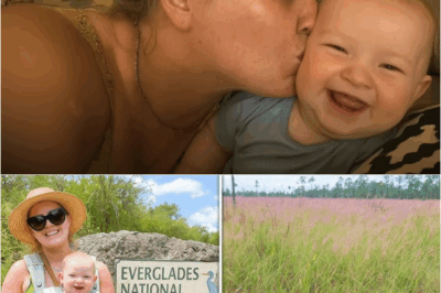 Single Mom Vanished in the Everglades—A Year Later, a Python’s Strange Bulge Reveals a Chilling Truth – S
