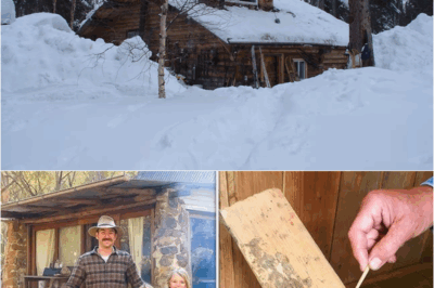 Off-Grid Family Vanished in 1996—Maggots at Old Alaskan Cabin Reveal the Truth 10 Years Later – S
