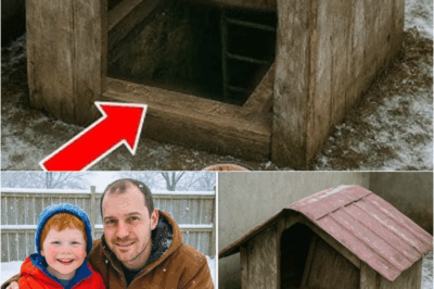 Boy Vanished While Playing Outside—Eight Years Later, Dad Looks Under Neighbor’s Dog Kennel and Makes a Chilling Discovery – S