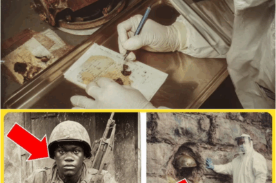 The Soldier Who Refused to Surrender in France — 70 Years Later, His Helmet Was Found Buried in a Wall  – S
