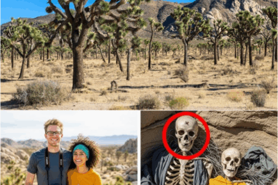 They Were Filming a Travel Blog in Joshua Tree — Years Later, Their Skeletons Were Found – S