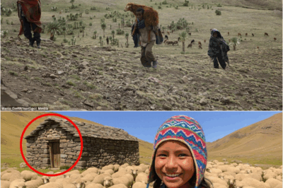 Shepherd Girl Vanished in the Mountains — 22 Years Later, Her Dad Makes a Terrifying Discovery… – s