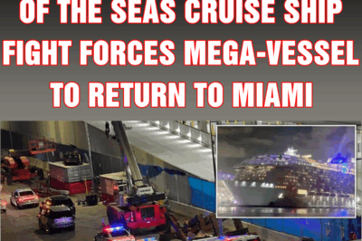 Royal Caribbean Wonder of the Seas cruise ship fight forces mega-vessel to return to Miami