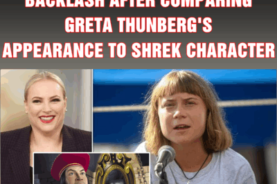 Meghan McCain sparks backlash after comparing Greta Thunberg’s appearance to Shrek character