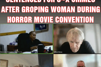 Actor Gary Busey sentenced for s~~x crimes after groping woman during horror movie convention