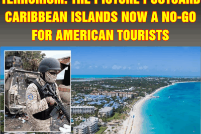 Murders, kidnappings and terrorism: The picture postcard Caribbean islands now a no-go for American tourists