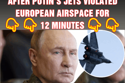 Chilling new details released after Putin’s jets violated European airspace for 12 minutes