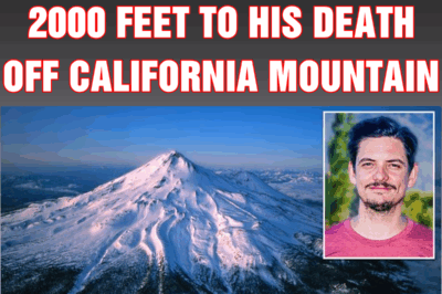 Tech exec plummets 2000 feet to his death off California mountain