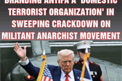 Trump signs executive order branding Antifa a ‘domestic terrorist organization’ in sweeping crackdown on militant anarchist movement