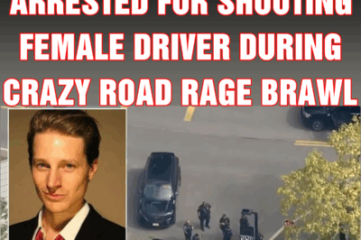 The Sopranos actor is arrested for shooting female driver during crazy road rage brawl