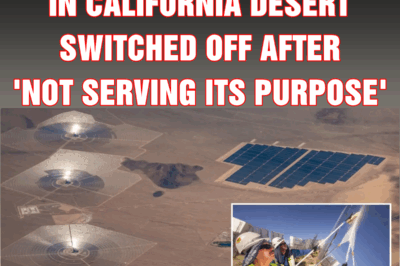$2,200,000,000 solar farm in California desert switched off after ‘not serving its purpose’