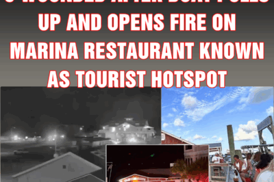 At least 3 dead and 8 wounded after boat pulls up and opens fire on marina restaurant known as tourist hotspot
