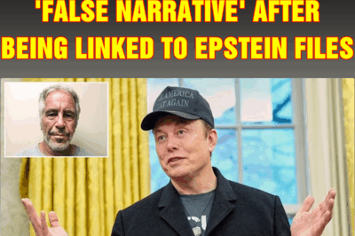 Elon Musk hits back at ‘false narrative’ after being linked to Epstein files