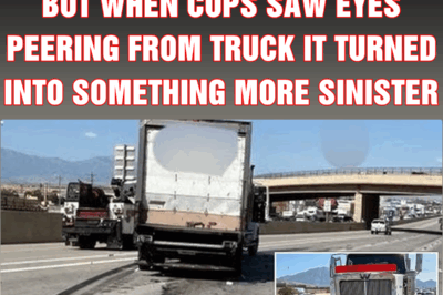 It looks like a normal crash but when cops saw eyes peering from truck it turned into something more sinister