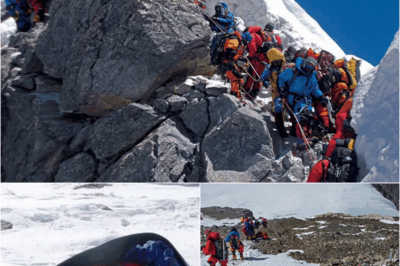 The Unspoken Rule of Everest: Why Climbers Must Step Over 200+ Corpses to Reach the Top – S