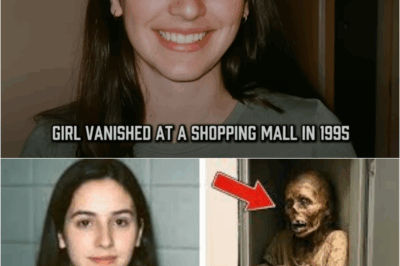 Girl Vanished at a Shopping Mall in 1995 — 12 Years Later, A Chilling Secret Is Unearthed – S