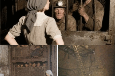Miners Vanished in 1955 — 50 Years Later, Investigators Discover A Terrifying Secret… – S