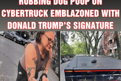 Vile Chicago woman filmed rubbing dog poop on Cybertruck emblazoned with Donald Trump’s signature