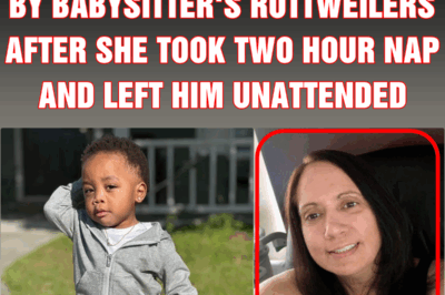 Boy, 2, mauled to death by babysitter’s Rottweilers after she took two hour nap and left him unattended, police say