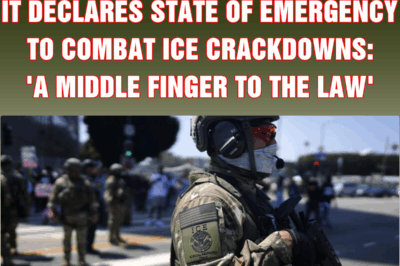 Los Angeles sparks fury as it declares state of emergency to combat ICE crackdowns: ‘A middle finger to the law’