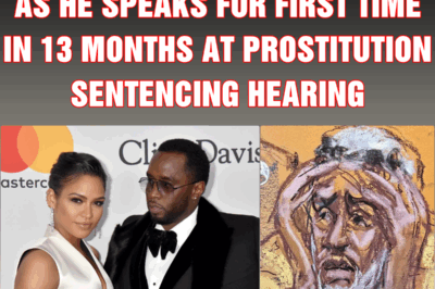 Diddy says SORRY to Cassie as he speaks for first time in 13 months at prostitution sentencing hearing