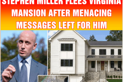 Stephen Miller flees Virginia mansion after menacing messages left for him
