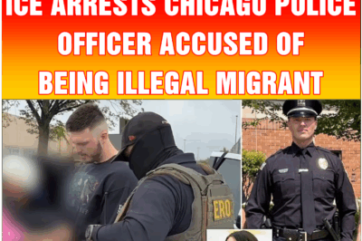 ICE arrests Chicago police officer accused of being illegal migrant