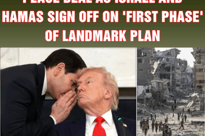 Trump announces Gaza peace deal as Israel and Hamas sign off on ‘first phase’ of landmark plan