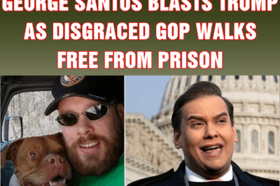 Disabled vet swindled by George Santos blasts Trump as disgraced GOP walks FREE from prison