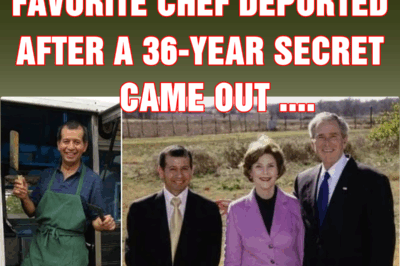 George W. Bush’s favorite chef DEPORTED after a 36-year secret came out