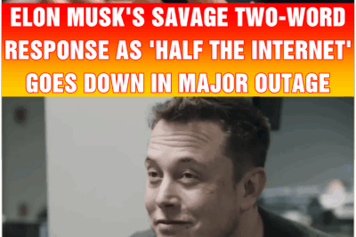 Elon Musk’s savage two-word response as ‘half the internet’ goes down in major outage
