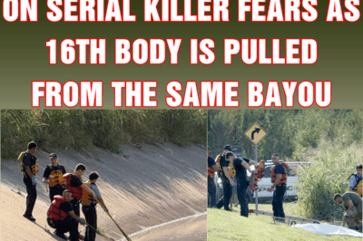 Authorities issue update on serial killer fears as 16th body is pulled from the same bayou