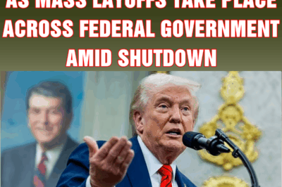Trump starts DOGE 2.0 as mass layoffs take place across federal government amid shutdown