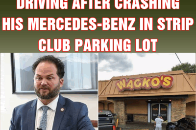Judge arrested for drunk driving after crashing his Mercedes-Benz in strip club parking lot