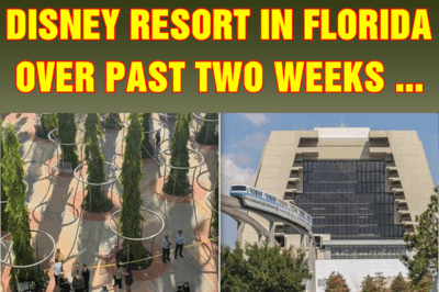 Third person dies at Disney resort in Florida over past two weeks