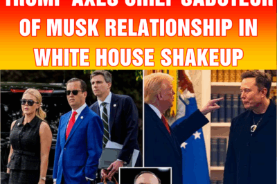 Trump axes chief saboteur of Musk relationship in White House shakeup