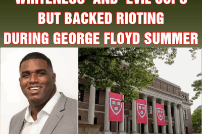 Woke Harvard dean slammed ‘whiteness’ and ‘evil cops’ but backed rioting during George Floyd summer