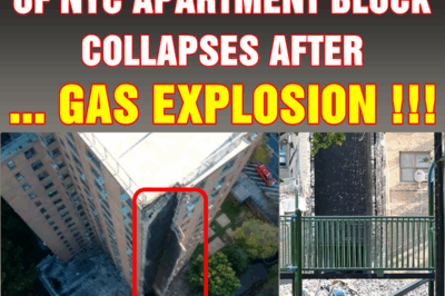 Horror as entire corner of NYC apartment block COLLAPSES after gas explosion