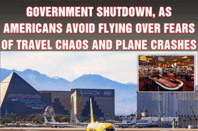 Rip-off Las Vegas faces another huge tourism slump thanks to government shutdown, as Americans avoid flying over fears of travel chaos and plane crashes