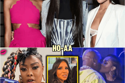 DaBrat HUMILIATES Toni Braxton By Posting Proof Of Birdman – Tamar Hookup | HO’