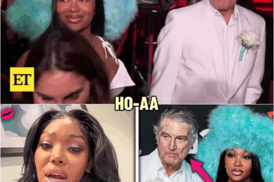 29 YR Old Summer Walker SPEAKS On Her 70 YR Old Baby Daddy | HO’